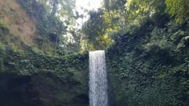 Ubud, Bali, Endonezya 'daki Tibumana Şelalesi