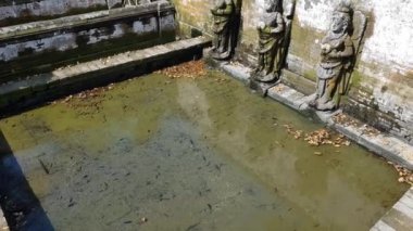 Endonezya, Bali 'deki Goa Gajah tapınağı