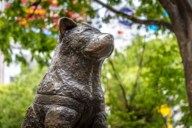 Shibuya, Tokyo, Japonya 'daki Hachiko Anıtı manzarası