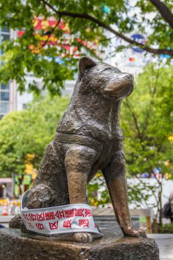 Tokyo, Japonya - 21 Nisan 2019: Shibuya 'daki Hachiko Anıt Heykeli. Köpek sahibine olan olağanüstü sadakatiyle hatırlanır..