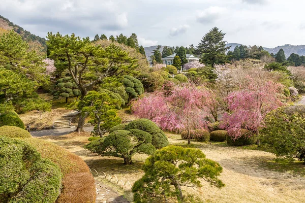 Onshi Hakone Park Στην Ιαπωνία — Φωτογραφία Αρχείου