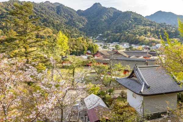 Vista Isla Miyajima Japón — Foto de Stock