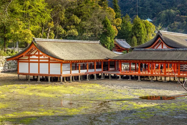Santuario Itsukushima Isola Miyajima Hiroshima Giappone — Foto Stock