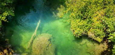 Fransa 'nın güneyindeki Pont des Tuves Köprüsünden (Tuves Köprüsü) nehir manzarası