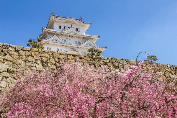 Třešňový Květ Hrad Himeji Japonsku — Stock fotografie