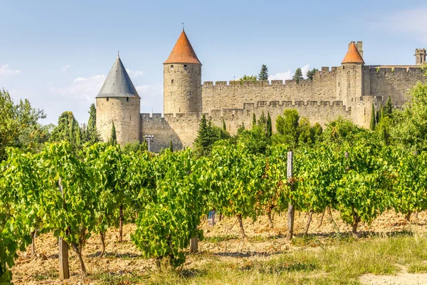 Vista Panorâmica Carcassonne França — Fotografia de Stock