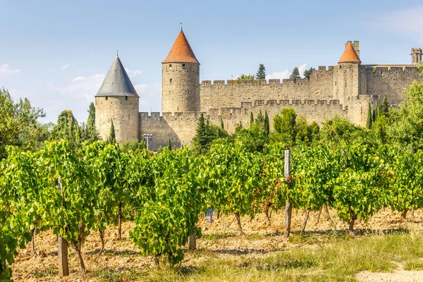 Carcassonne, Fransa 'nın panoramik manzarası