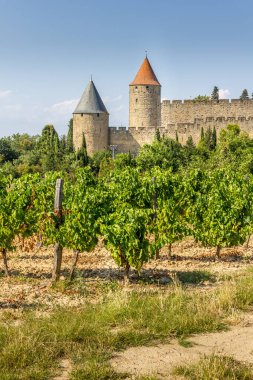 Carcassonne şehri, Fransa