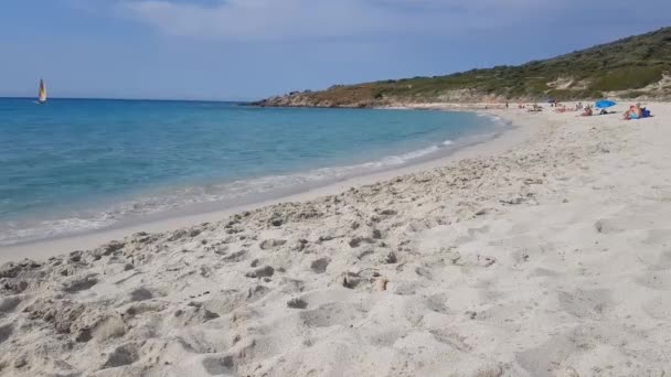 Playa Bodri Córcega Francia — Vídeo de stock