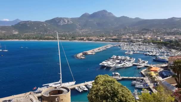 Haven Van Calvi Noord Corsica Frankrijk — Stockvideo