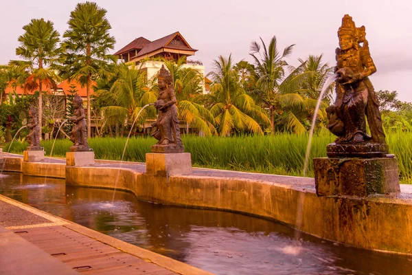 Plantation Riz Statues Lors Coucher Soleil Ubud Bali Indonésie — Photo