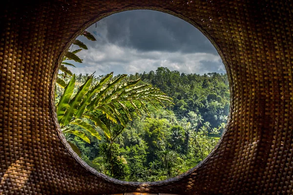 Bos Rijstterrassen Bali Indonesië — Stockfoto
