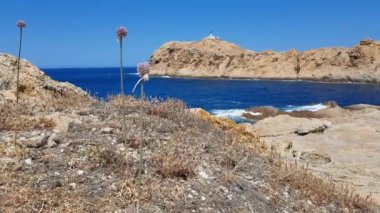 Korsika, Fransa 'daki Ile Rousse manzarası