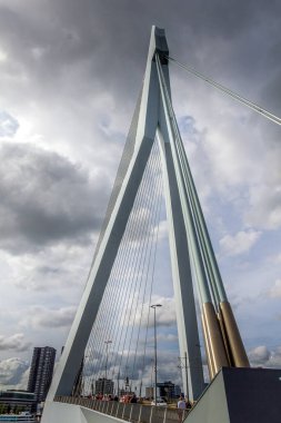 Rotterdam, Hollanda - 24 Ağustos 2017: Erasmusbrug köprüsünde yürüyen insanlar. Yapı, kablo destekli ve basküle dayalı bir köprü..