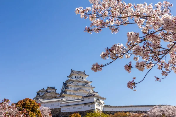 Cherry Blossom Himeji Castle Japan — Stock Photo, Image