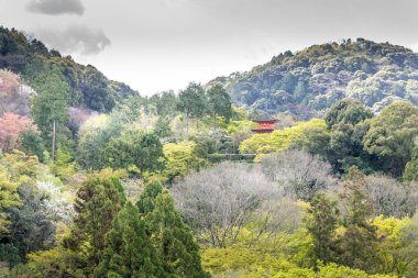 Japonya 'daki Miyajima adası manzarası