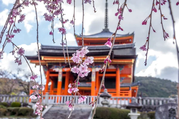 日本京都Higashiyama Ward Kiyomizu Dera寺 — 图库照片