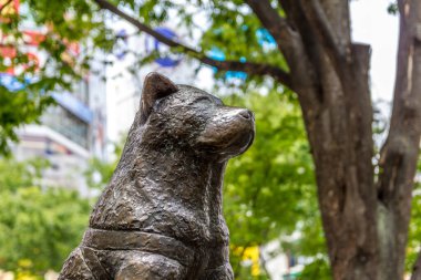 Shibuya, Tokyo, Japonya 'daki Hachiko Anıtı manzarası