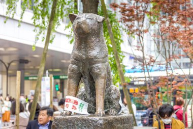 Tokyo, Japonya - 21 Nisan 2019: Shibuya 'daki Hachiko Anıt Heykeli. Köpek sahibine olan olağanüstü sadakatiyle hatırlanır..