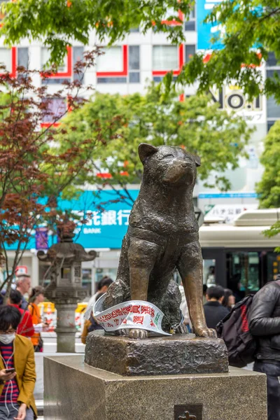 東京都 2019年4月21日 渋谷のハチ公記念像の眺め 犬は主人への忠誠心の高さで記憶されている — ストック写真