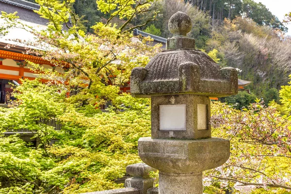 Lanterna Pietra Ourdoor Nell Isola Miyajima Giappone — Foto Stock