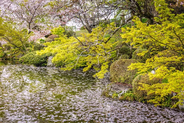 Giardino Nijo Durante Fiori Ciliegio Kyoto Giappone — Foto Stock