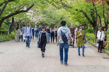 Tokyo, Japonya - 21 Nisan 2019: Ueno parkında yürüyen insanlar. Burası çok sayıda müzeye ev sahipliği yapıyor ve ülkenin en popüler halk parkı..