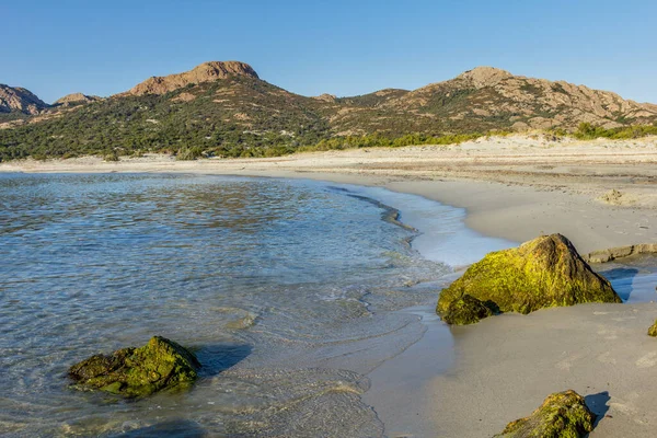 Korsika Fransa Daki Ostriconi Plajı — Stok fotoğraf