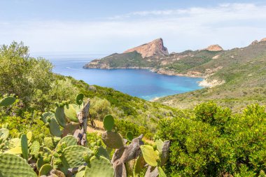 Fransa, Korsika 'daki Calanques de Piana ve deniz