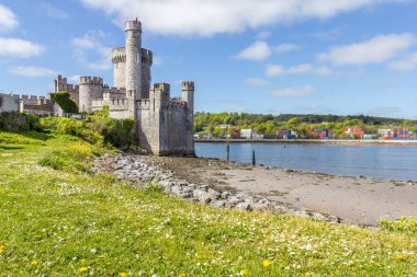 Cork, İrlanda 'daki Blackrock Kalesi