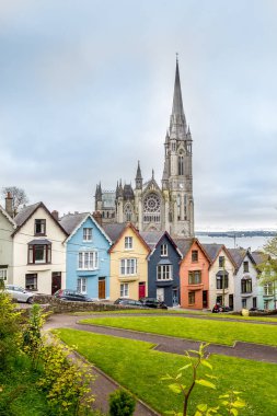 Cobh, İrlanda 'da katedral ve renkli evler