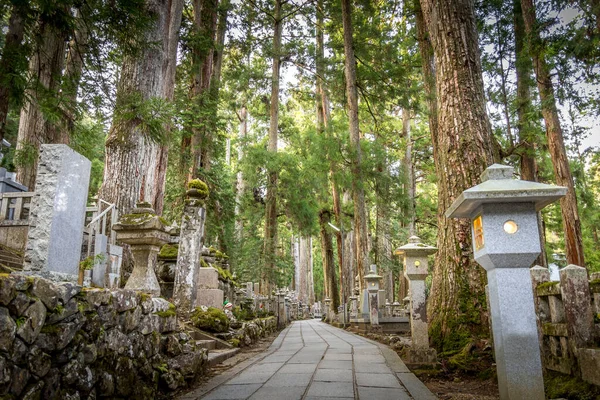 Paesaggio Nel Koyasan Monte Koya Giappone — Foto Stock