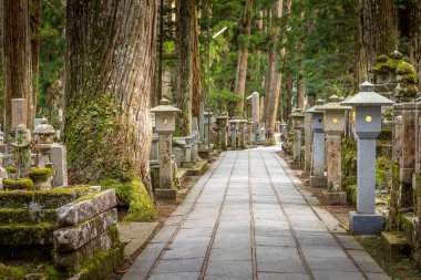 Koyasan 'daki manzara, Koya Dağı, Japonya