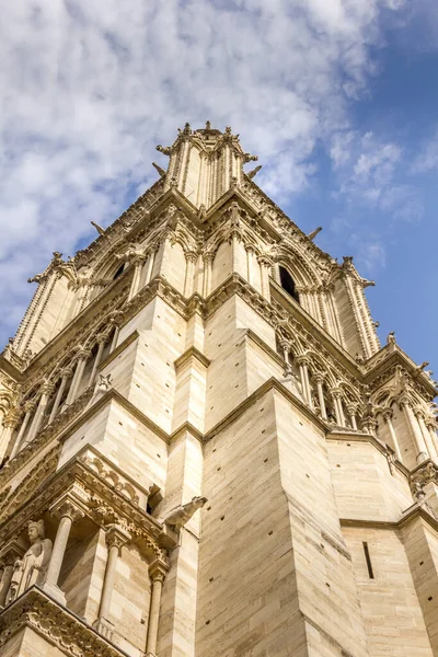 Věž Katedrále Notre Dame Paříž — Stock fotografie
