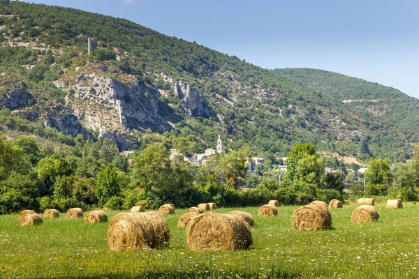 Rollos Heno Campo Provenza Sur Francia — Foto de Stock