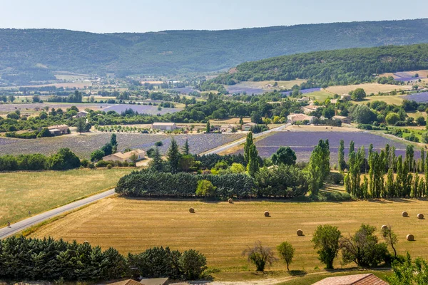Lavendelfelder Der Provence Frankreich — Stockfoto