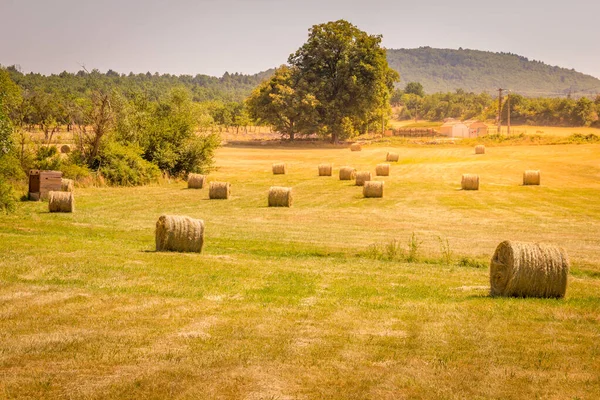 Hay Rolls Field Provence South France — Stock Photo, Image