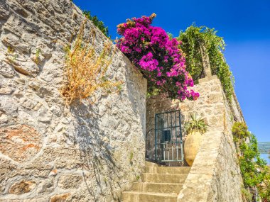 Hırvatistan 'ın Dubrovnik kenti yakınlarındaki Elaphiti adalarından Sudurad' daki manzara