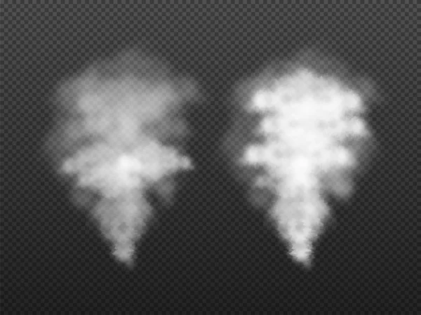 Rook Effect Instelt Transparante Achtergrond — Stockvector