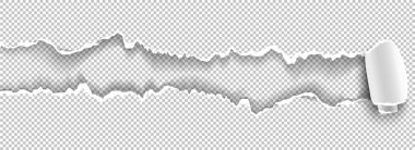 Saydam arka plan ve metin için yer beyaz kağıda sökük.