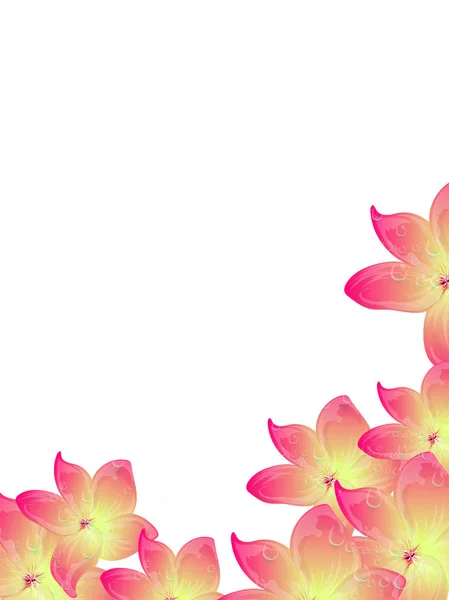Gouttes Eau Sur Belles Fleurs Brillantes Décorées Fond Blanc Pour — Image vectorielle