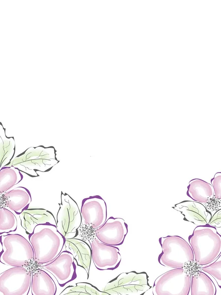 Sakura Blumen Und Blätter Auf Weißem Hintergrund Mit Platz Für — Stockvektor