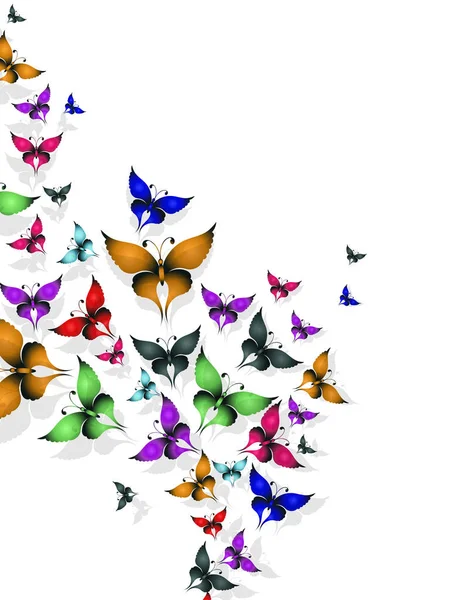 Színes Pillangók Üdvözlőlap Tervezés Díszített Helyet Adott Szöveg — Stock Vector