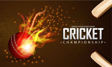 Gerçekçi ateş topu ve kriket sopayı kahverengi tonlu arka plan. Kriket Şampiyonası Poster.