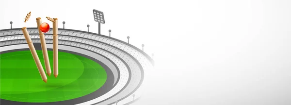Website Header Banner Design Cricket Equipments Stadium View Background Space — Stock Vector