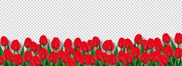 红色郁金香花装饰透明背景 广告标题或横幅设计 — 图库矢量图片