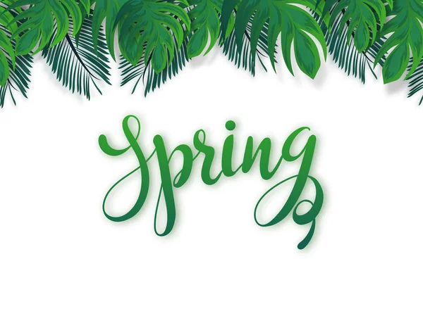 Calligraphy Spring White Background Decorated Green Tropical Leaves — Stock Vector
