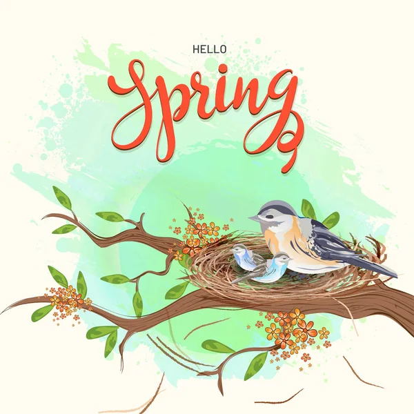 木の枝に小さな鳥の巣のイラストとこんにちは春のテンプレートやグリーティング カードのデザイン — ストックベクタ