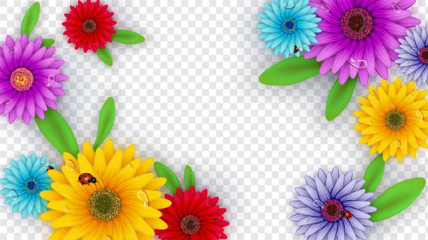 Kleurrijke Gerbera Daisy Bloemen Versierd Transparante Achtergrond Voor Hello Spring — Stockvector