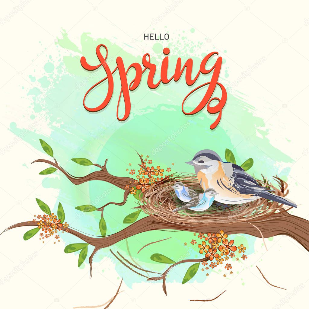 Hello Spring template or greeting card design with illustration of tiny birds nest on tree branch.